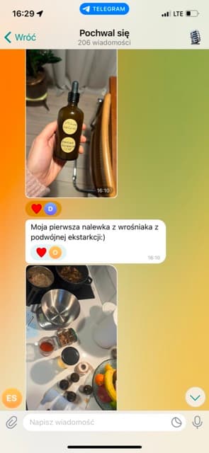 Wyniki kursu