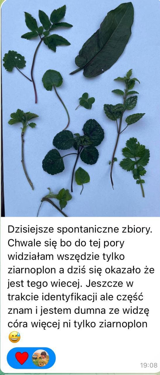 Zdjęcie z grupy 1